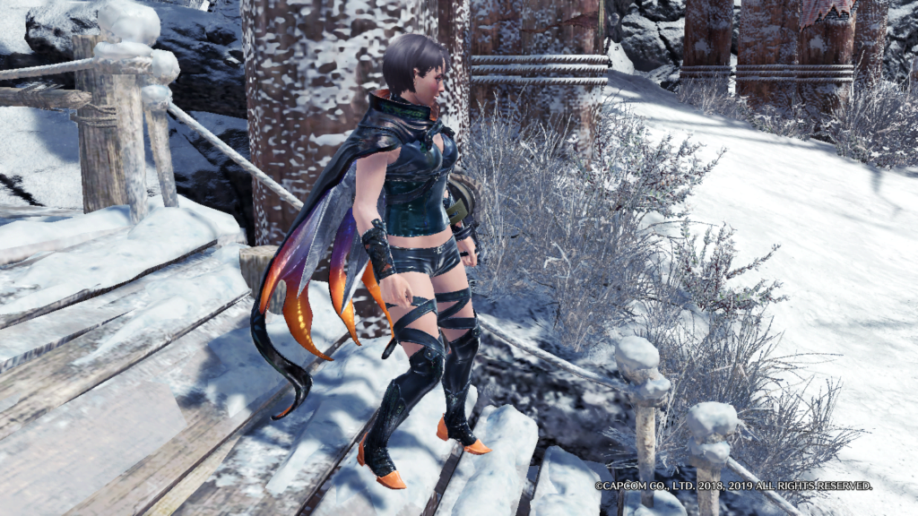 ネロミェール装備２